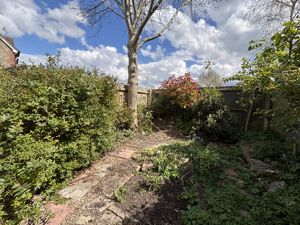 Garden (1)- click for photo gallery